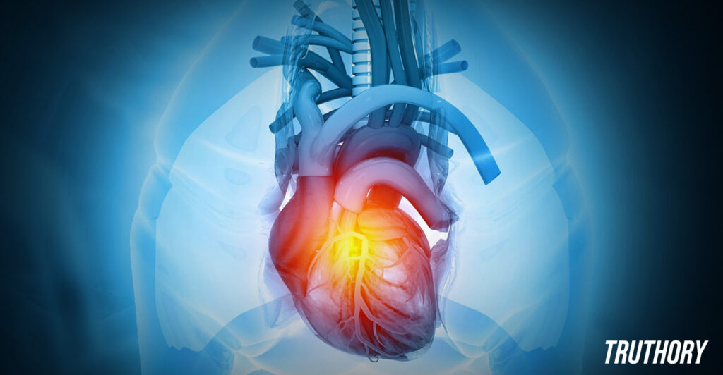 Heartumental2-1024x532 Heartumental: A Journey of Feelings Through Tunes